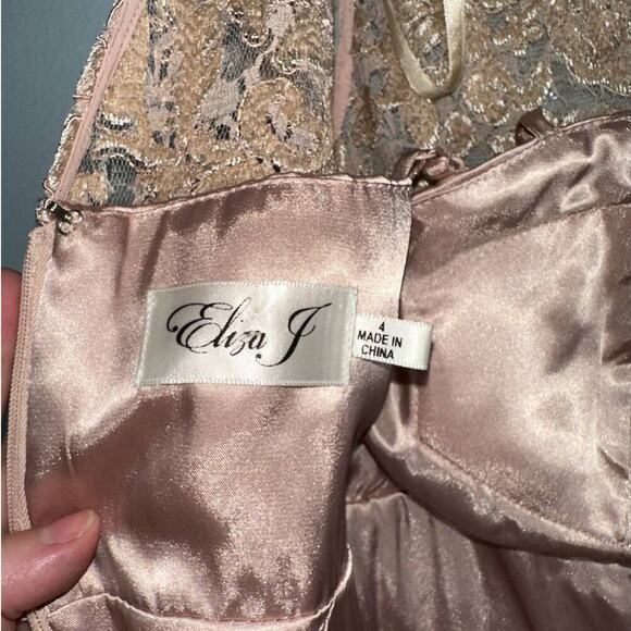 Eliza J Lace Bodice Chiffon Ruffle Tiered Maxi Gown in Blush Pink Size 4 - Picture 11 of 12